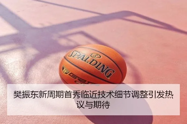 樊振东新周期首秀临近技术细节调整引发热议与期待